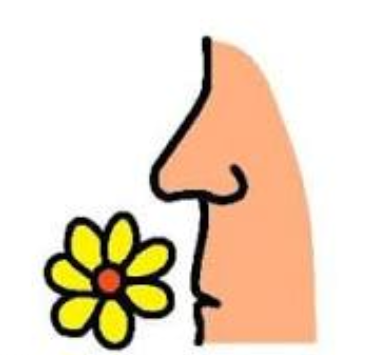 Smell the flower icon.png